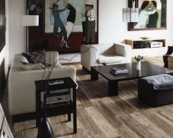 Sant'Agostino - Cortex Grey